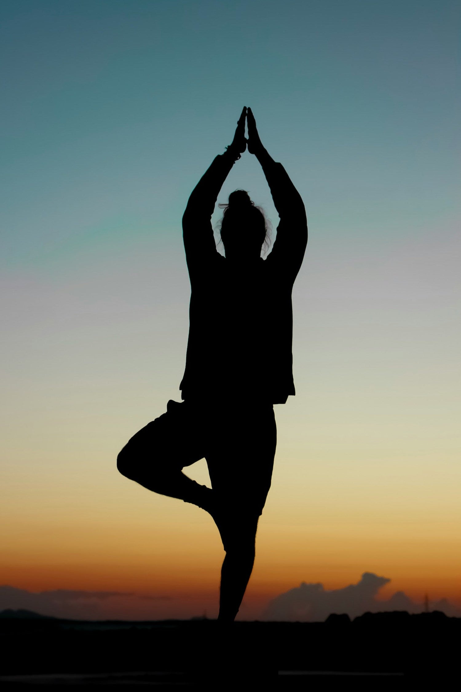 Health & Wellness