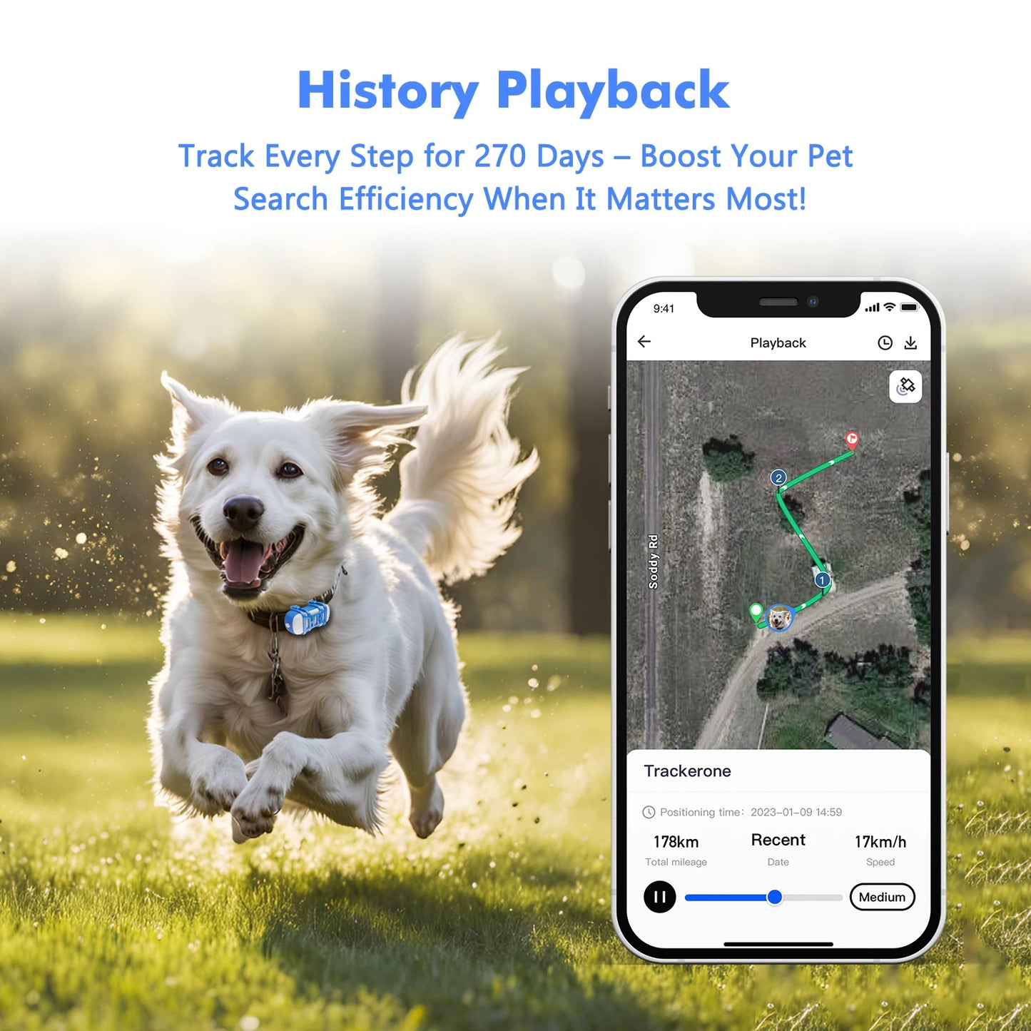 4G GPS Pet Tracker for Dogs and Cats Waterproof Smart Locator with Live Tracking and App