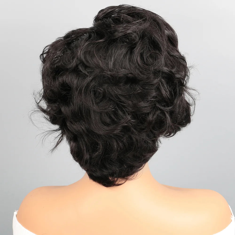 Pixie Cut Human Hair Wig 13X4 HD Lace Front Glueless Wear and Go Short Curly Wig for Women