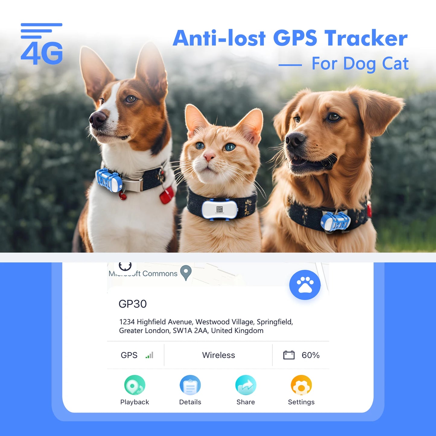 4G GPS Pet Tracker for Dogs and Cats Waterproof Smart Locator with Live Tracking and App