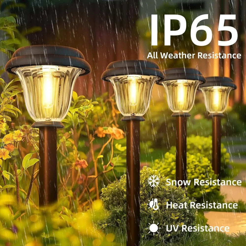 Solar Pathway Lights Outdoor 6 Pack Stainless Steel Glass Auto On Off Waterproof